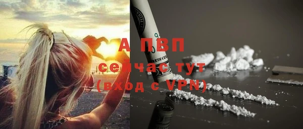 ГАЛЛЮЦИНОГЕННЫЕ ГРИБЫ Вяземский