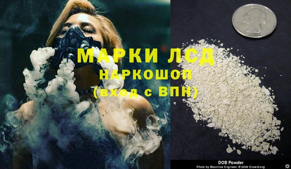 ГАЛЛЮЦИНОГЕННЫЕ ГРИБЫ Вяземский
