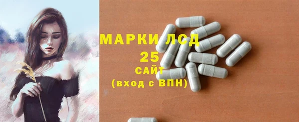 ГАЛЛЮЦИНОГЕННЫЕ ГРИБЫ Вяземский