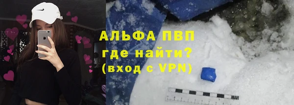 ГАЛЛЮЦИНОГЕННЫЕ ГРИБЫ Вяземский