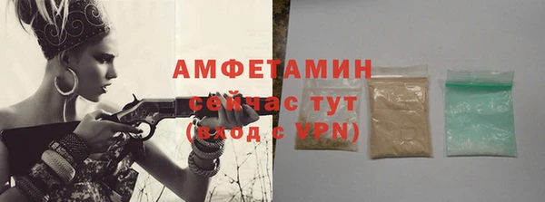 ГАЛЛЮЦИНОГЕННЫЕ ГРИБЫ Вяземский