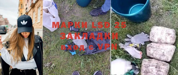ГАЛЛЮЦИНОГЕННЫЕ ГРИБЫ Вяземский