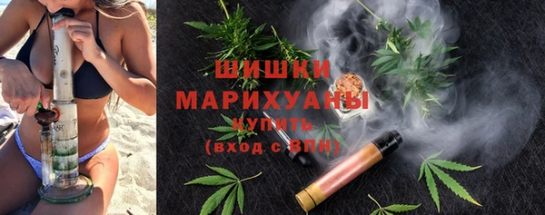 ГАЛЛЮЦИНОГЕННЫЕ ГРИБЫ Вяземский