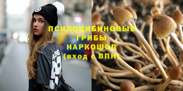 ГАЛЛЮЦИНОГЕННЫЕ ГРИБЫ Вяземский