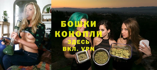 ГАЛЛЮЦИНОГЕННЫЕ ГРИБЫ Вяземский