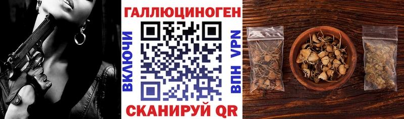Галлюциногенные грибы Psilocybine cubensis Купить закладки Красный Кут