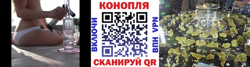 Бошки марихуана SATIVA & INDICA  Купить закладки  Красный Кут 